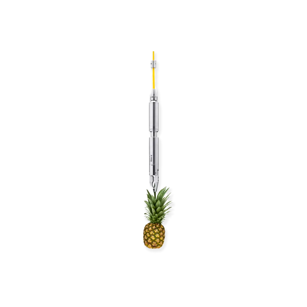 Dekra Visatec Vt Gtl 50 Ananas 0001 18 Web16zu9 1080X1080